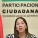 Participación Ciudadana: La Corrupción Más Lesiva, Burda y Soez