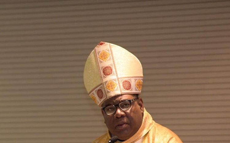 Castro Marte reta: ¡Investiguen sin miedo el narco en la política!