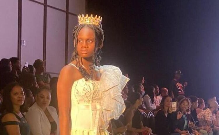 MP omite notificación de coerción a abogados en Caso Stephora: ¿Obstaculización?