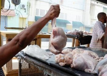 El precio del pollo en 2025: De 79 a 110 pesos, así fue su cronología