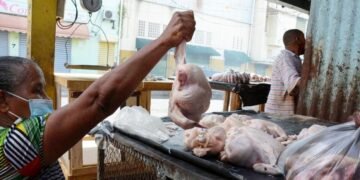 El precio del pollo en 2025: De 79 a 110 pesos, así fue su cronología