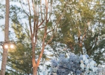 Cinco Días de Boda: Venus Williams y Andrea Preti en Palm Beach