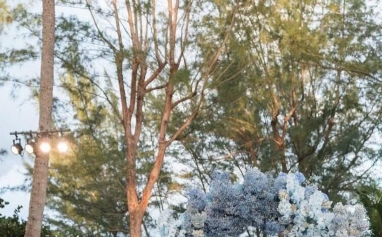 Cinco Días de Boda: Venus Williams y Andrea Preti en Palm Beach