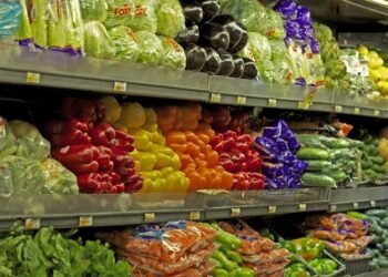 ProDominicana Potencia Agroexportación Dominicana en Fruit Logistica Alemania ¡Oportunidad Global!