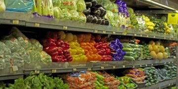 ProDominicana Potencia Agroexportación Dominicana en Fruit Logistica Alemania ¡Oportunidad Global!