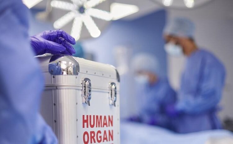 Director Incort: Órganos de niños, JAMÁS para trasplantes en adultos