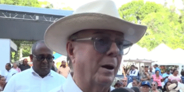 Hipólito: «Amiguitos» de funcionarios disparan despidos en el Estado