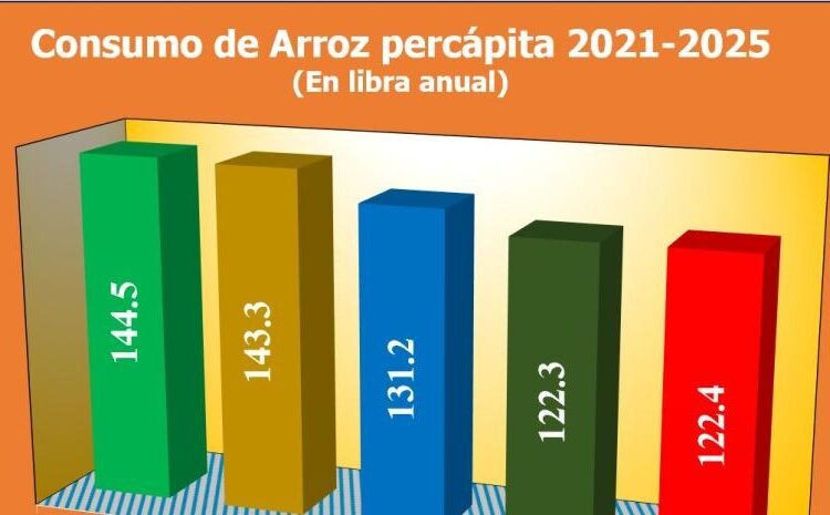 Sánchez Roa: La SORPRENDENTE razón por la que los dominicanos comerán menos arroz en 2025