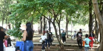 ¡La Tradición del Día de Reyes Vive! Niños Llenan de Alegría Parques y Barrios