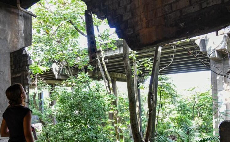 Puente Duarte en alerta: el «solo un alante» esconde peligro por falta de mantenimiento