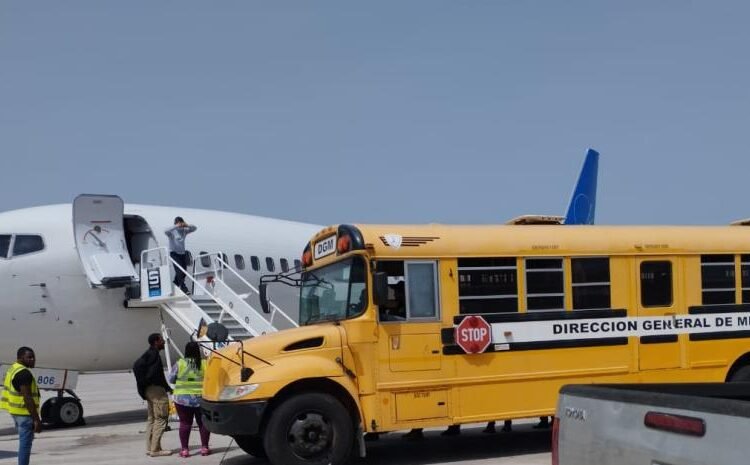 Cumplieron su condena: ICE repatria 41 dominicanos de prisiones de EE UU