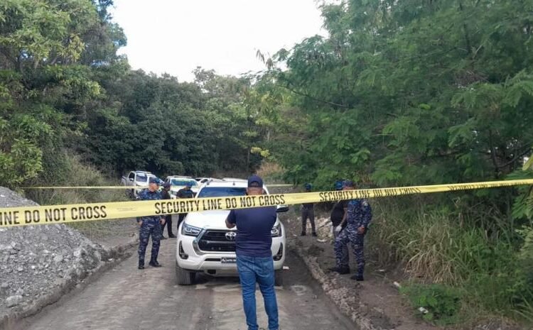 Constanza: Hallan auto de la pareja ultimada