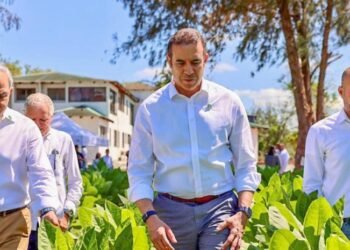 Récord histórico del tabaco dominicano: exportaciones crecen más de RD$ 1,000 millones en 2025