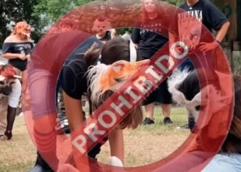 Honduras prohíbe eventos de la comunidad ‘therian’ en espacios públicos de dos ciudades