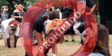 Honduras prohíbe eventos de la comunidad ‘therian’ en espacios públicos de dos ciudades