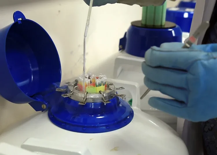 Alerta: Hallan compuestos químicos en el semen que dañan gravemente la fertilidad masculina