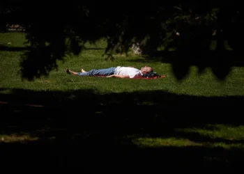 Pagan 5.000 euros por pasar 10 días en cama: la oferta de un centro científico francés que busca voluntarios