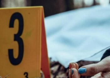 Qué revela el cerebro de un feminicida: inseguridad, falta de sustancia gris y traumas familiares