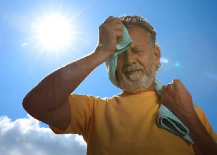 Récord histórico de calor: los últimos 11 años son los más calurosos jamás registrados