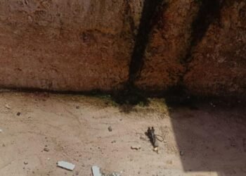 Caos en la Rómulo Betancourt: Derrumbe en construcción genera pánico entre residentes