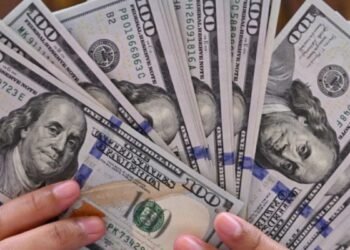 Adiós al PIB: por qué destruye la naturaleza y el nuevo modelo económico que el mundo necesita ya