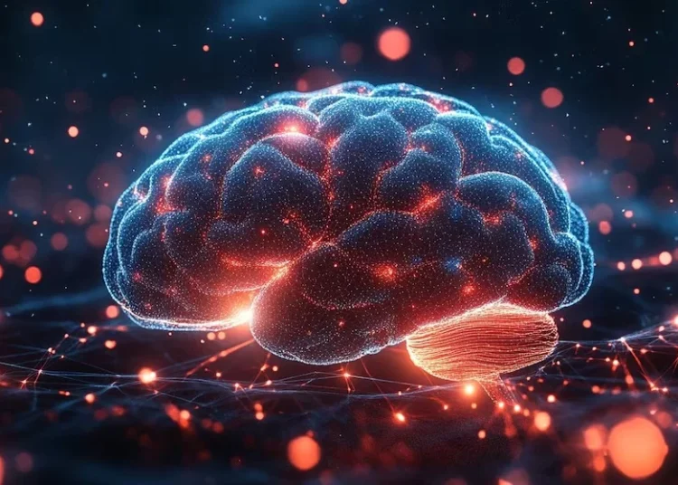 Descubren que el líquido protector del cerebro podría ser el arma clave para combatir el cáncer