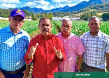 PLD exige al Gobierno el pago inmediato de la deuda con los productores de ajo