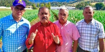 PLD exige al Gobierno el pago inmediato de la deuda con los productores de ajo