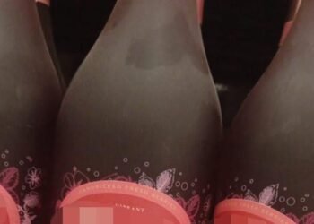 Nacer en Grados: el impactante documental que revela los peligros ocultos del alcohol en el embarazo