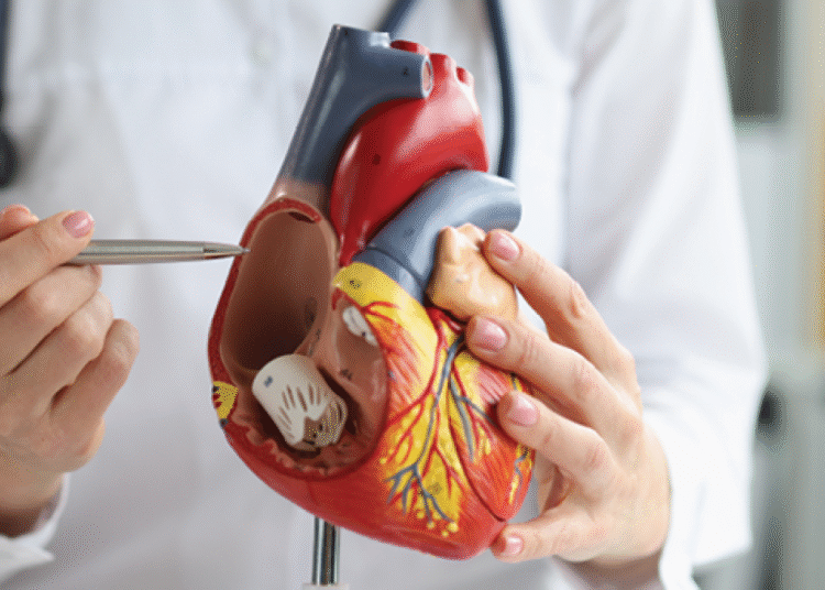 Señales de alerta: cuándo acudir al cardiólogo antes de sufrir un infarto