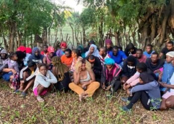 Ejército detiene a 43 haitianos indocumentados ocultos en un platanal de Montecristi