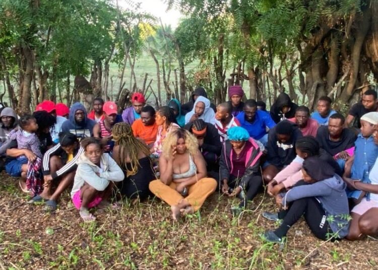 Ejército detiene a 43 haitianos indocumentados ocultos en un platanal de Montecristi
