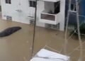 Impacto de la vaguada: así se registraron los niveles récord de lluvias