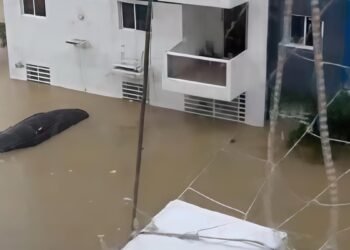 Impacto de la vaguada: así se registraron los niveles récord de lluvias