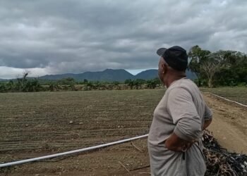 Crisis agropecuaria: Valverde y Monte Cristi reportan pérdidas millonarias en producción