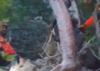 Milagro en Samaná: Rescatan con vida a mujer perdida en zona montañosa tras intensa búsqueda