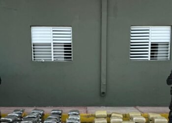 Incautan cargamento récord de más de 600 libras de marihuana en Elías Piña