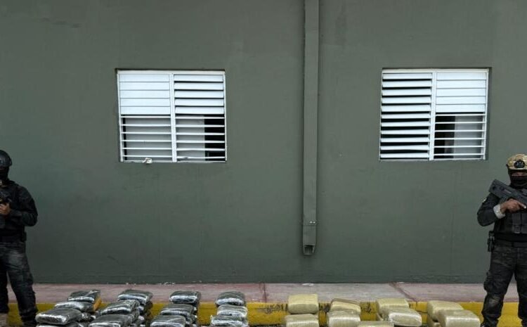 Incautan cargamento récord de más de 600 libras de marihuana en Elías Piña