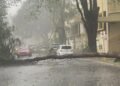 Alerta meteorológica: se vienen días de lluvias intensas y así afectarán a la región