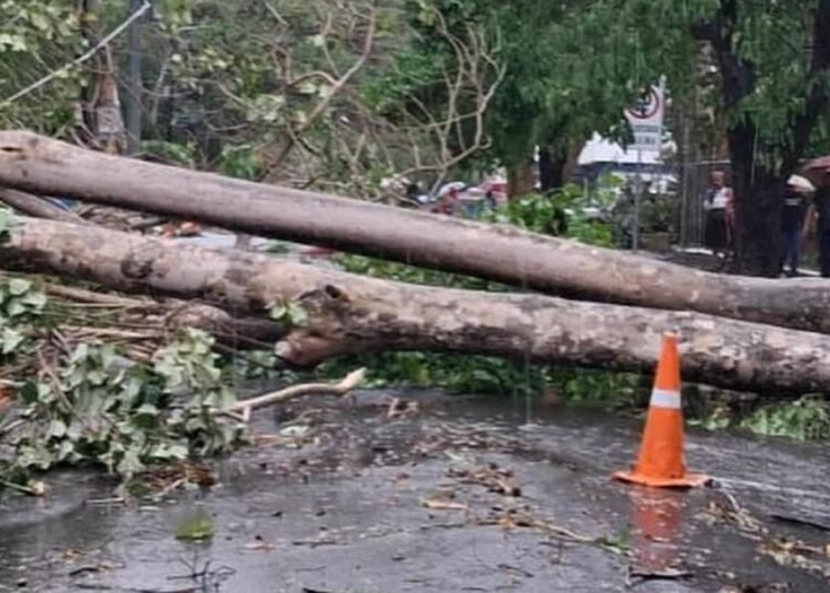 Vaguada azota Santo Domingo: Alerta máxima por intensas lluvias y posibles inundaciones