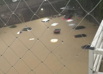 Por qué nadie lo vio venir: experto revela las claves detrás de la sorpresa mundial