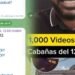 Alerta de estafas: cómo los delincuentes usan videos íntimos y falsas entrevistas para engañarte