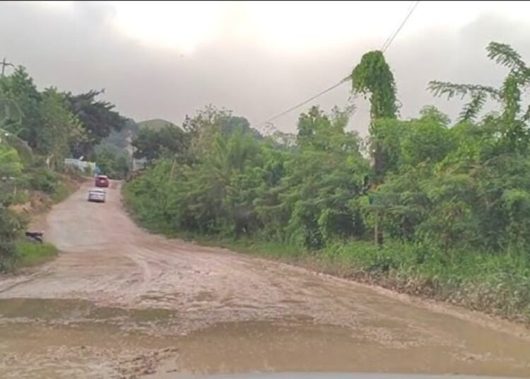 Hartos del abandono: exigen reconstrucción urgente de la carretera turística Tenares-Gaspar Hernández