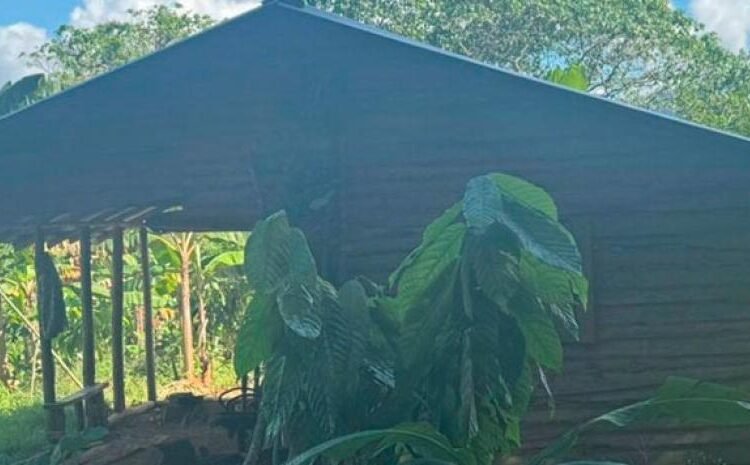 Rescatan sana y salva a adolescente de 15 años secuestrada en Bonao