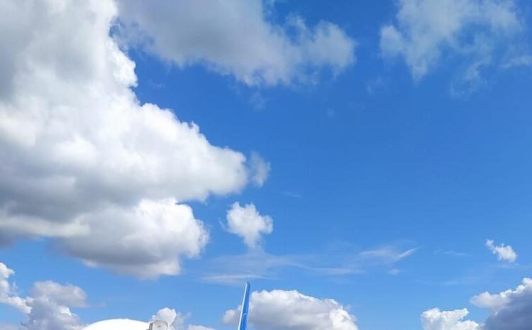 Más de 70 deportados regresan de Estados Unidos en un nuevo vuelo de repatriación