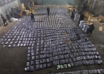 Incautan más de mil paquetes de marihuana ocultos en un furgón de muebles en Puerto Plata