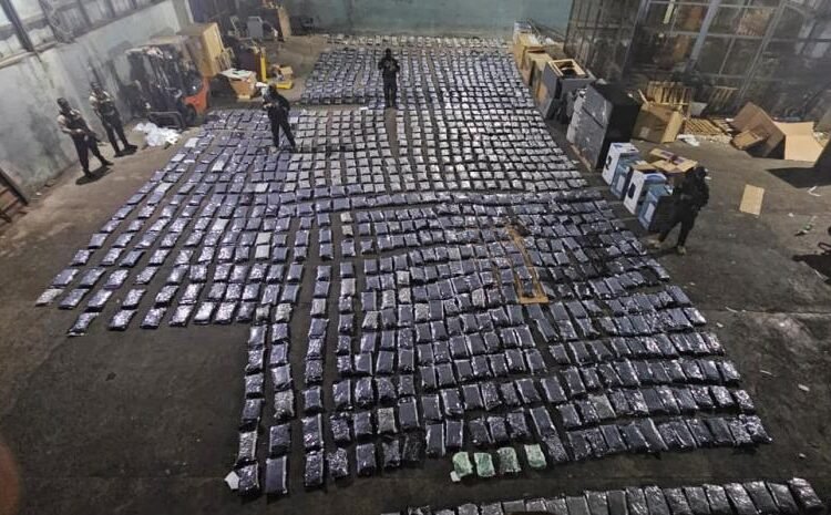 Incautan más de mil paquetes de marihuana ocultos en un furgón de muebles en Puerto Plata