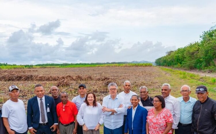 Barahona tendrá un moderno centro penitenciario para 900 reclusos: todos los detalles de la obra