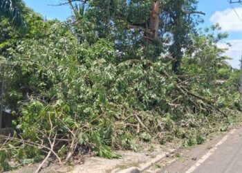 Gobernadora encabeza operativo de emergencia tras desastre natural en Sánchez Ramírez