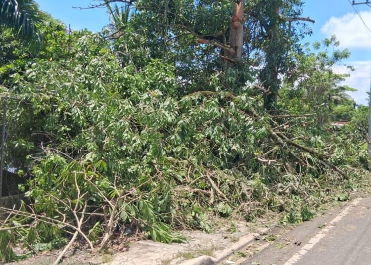 Gobernadora encabeza operativo de emergencia tras desastre natural en Sánchez Ramírez